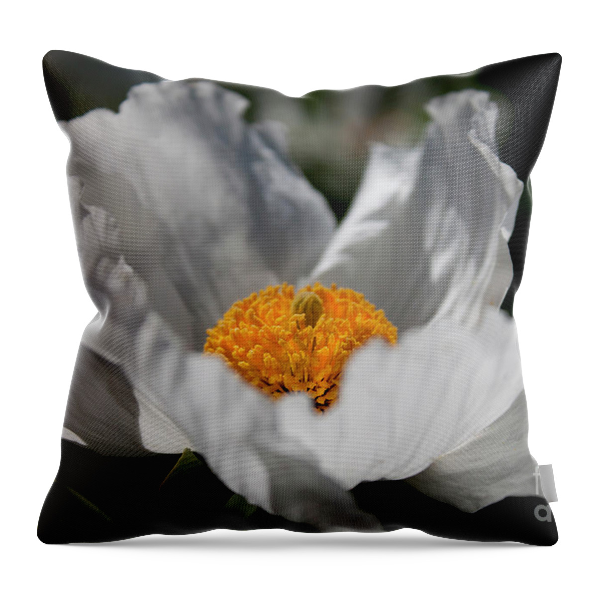Matilija Poppy Flower.flowers Throw Pillow featuring the photograph Matilija Poppy by Ivete Basso Photography