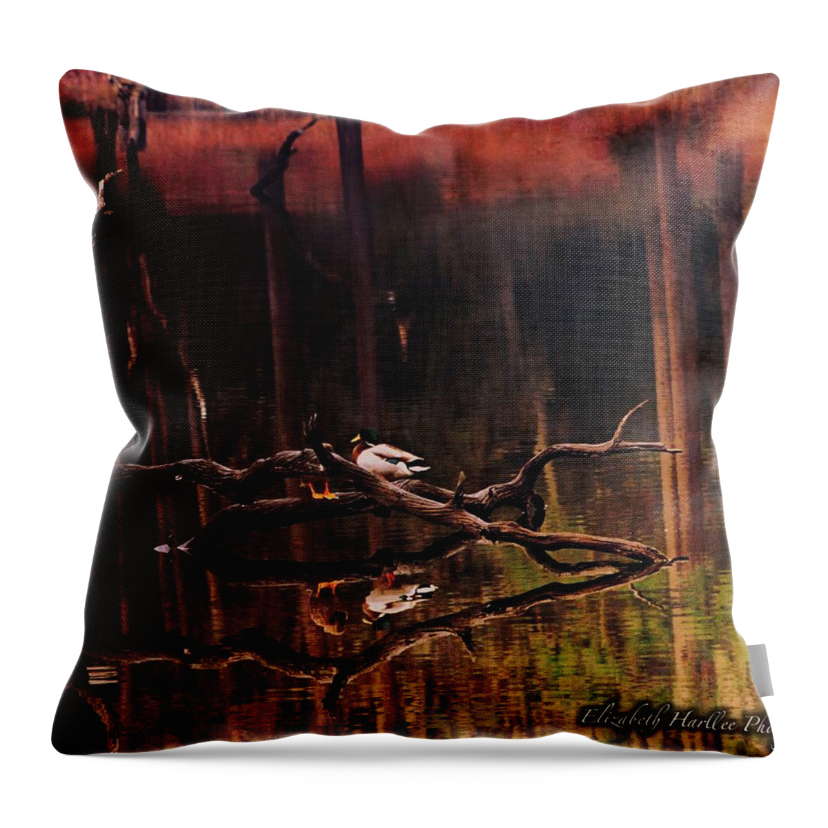 Wildlife Throw Pillow featuring the photograph Mating Call by Elizabeth Harllee