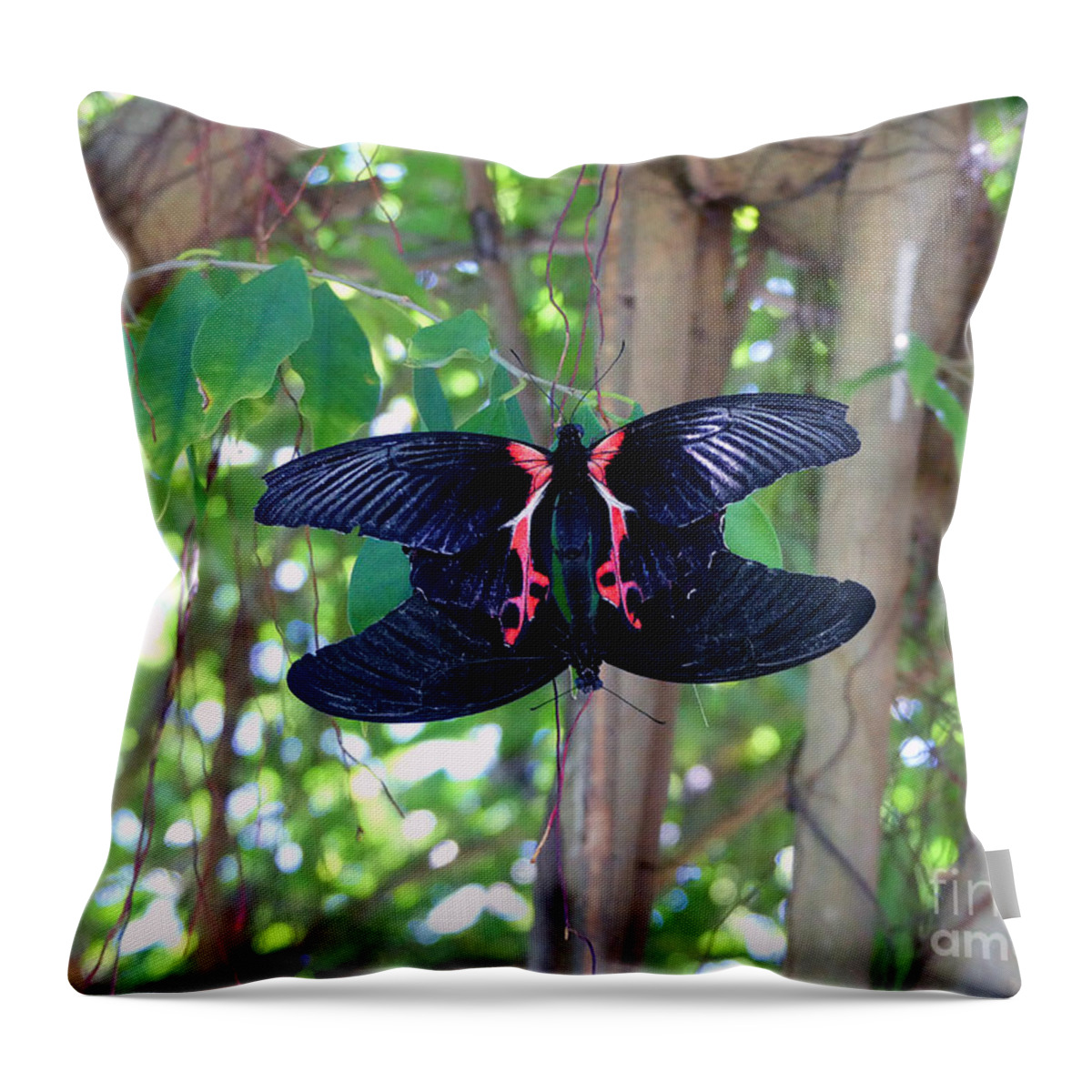 Butterflies Throw Pillow featuring the photograph Mating by Mafalda Cento