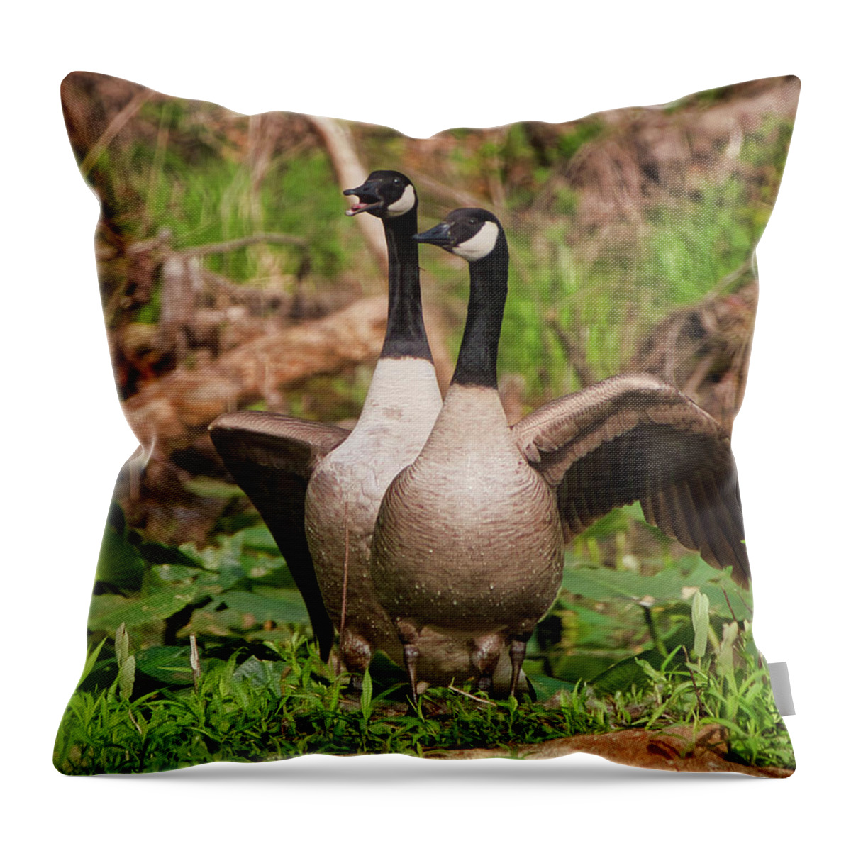 Animals Throw Pillow featuring the photograph Mating pair guarding the nest by Paul Ross