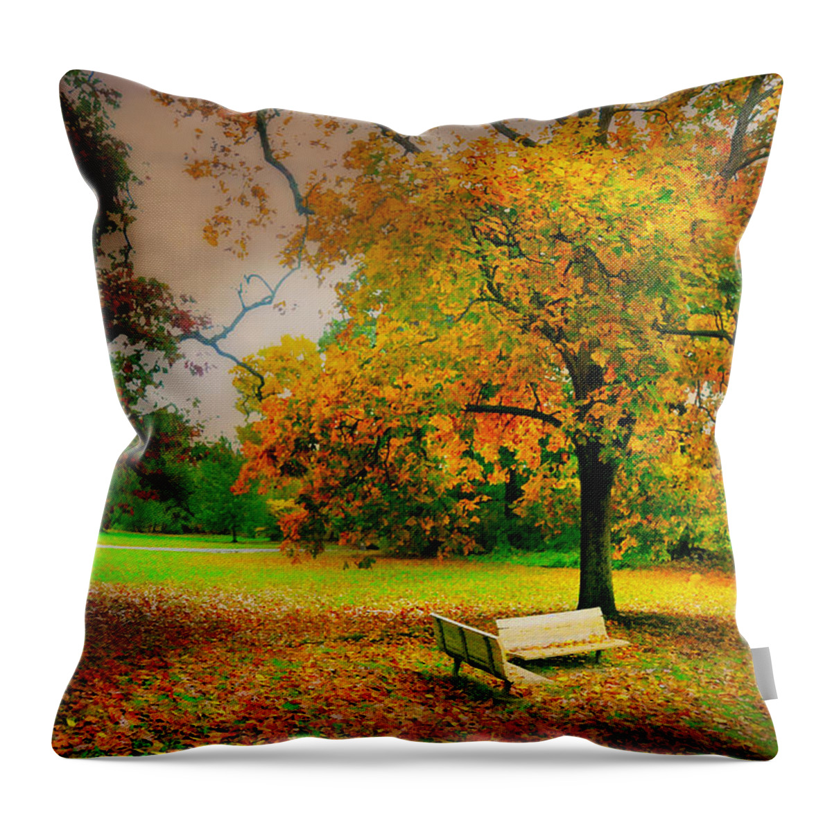 Matters To Me Throw Pillow featuring the photograph Matters To Me by Diana Angstadt