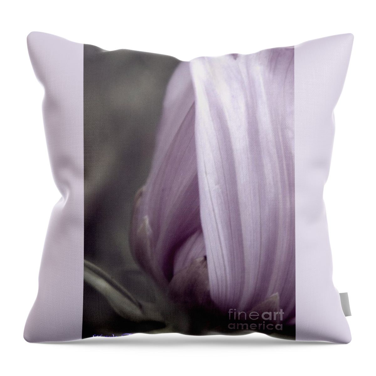 Flower Throw Pillow featuring the photograph Mauve by Elfriede Fulda