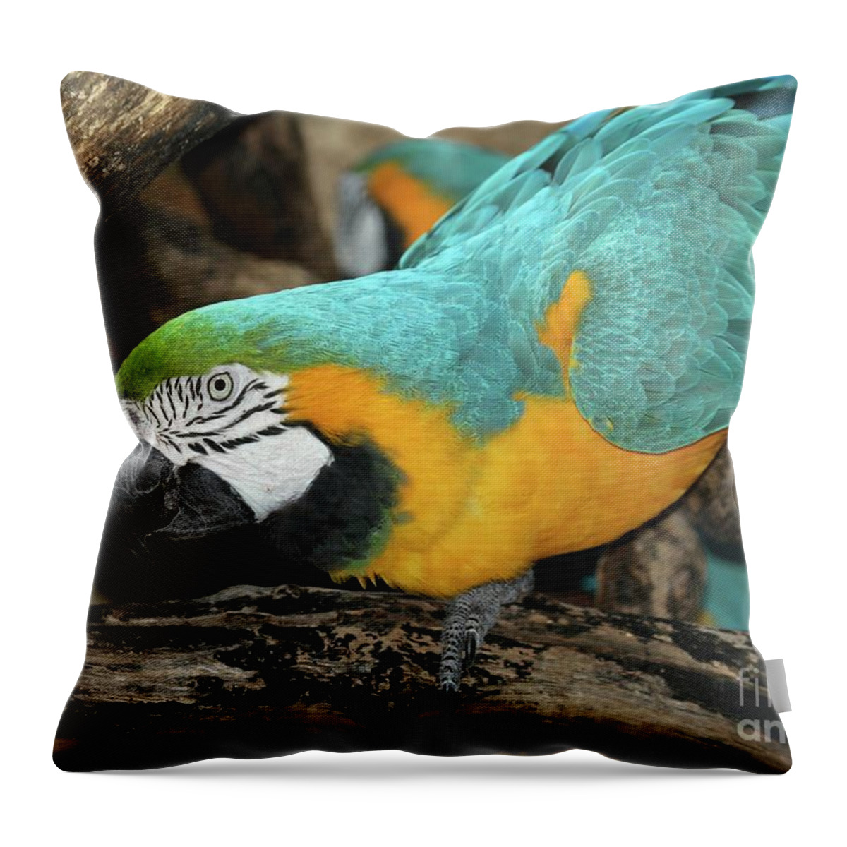 Bird Throw Pillow featuring the photograph McCaw Parrot by Sabrina L Ryan