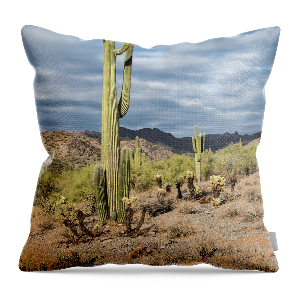 Mcdowell Throw Pillow featuring the photograph McDowell Cactus by David Hart