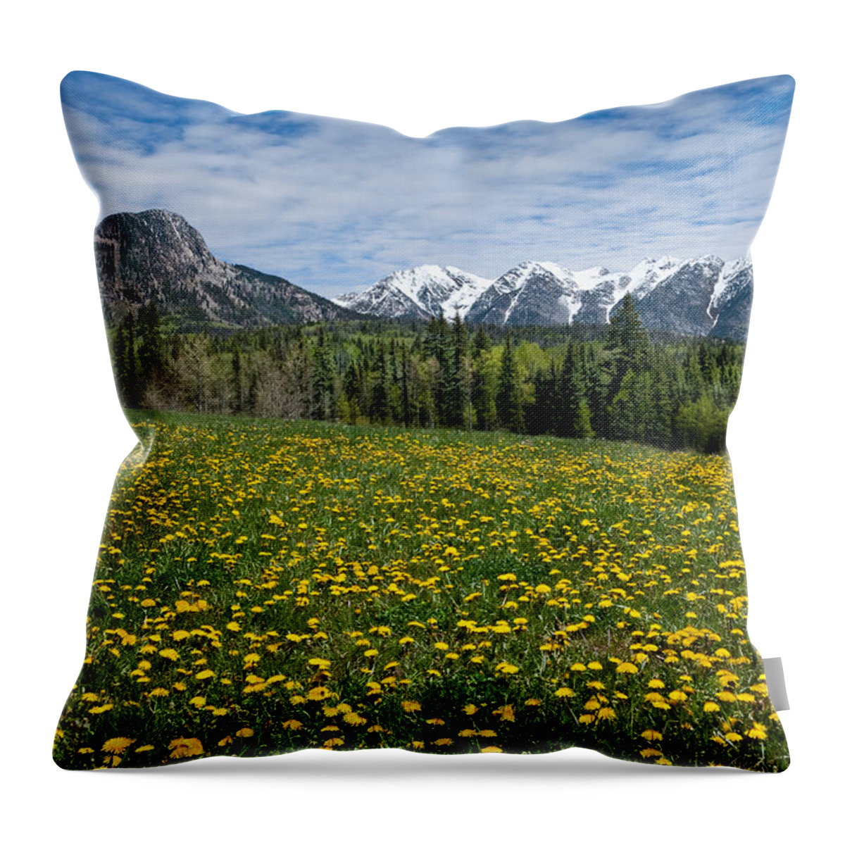 Alpine Throw Pillow featuring the photograph Meadow of Dandelions in the San Juan Mountains by Jeff Goulden