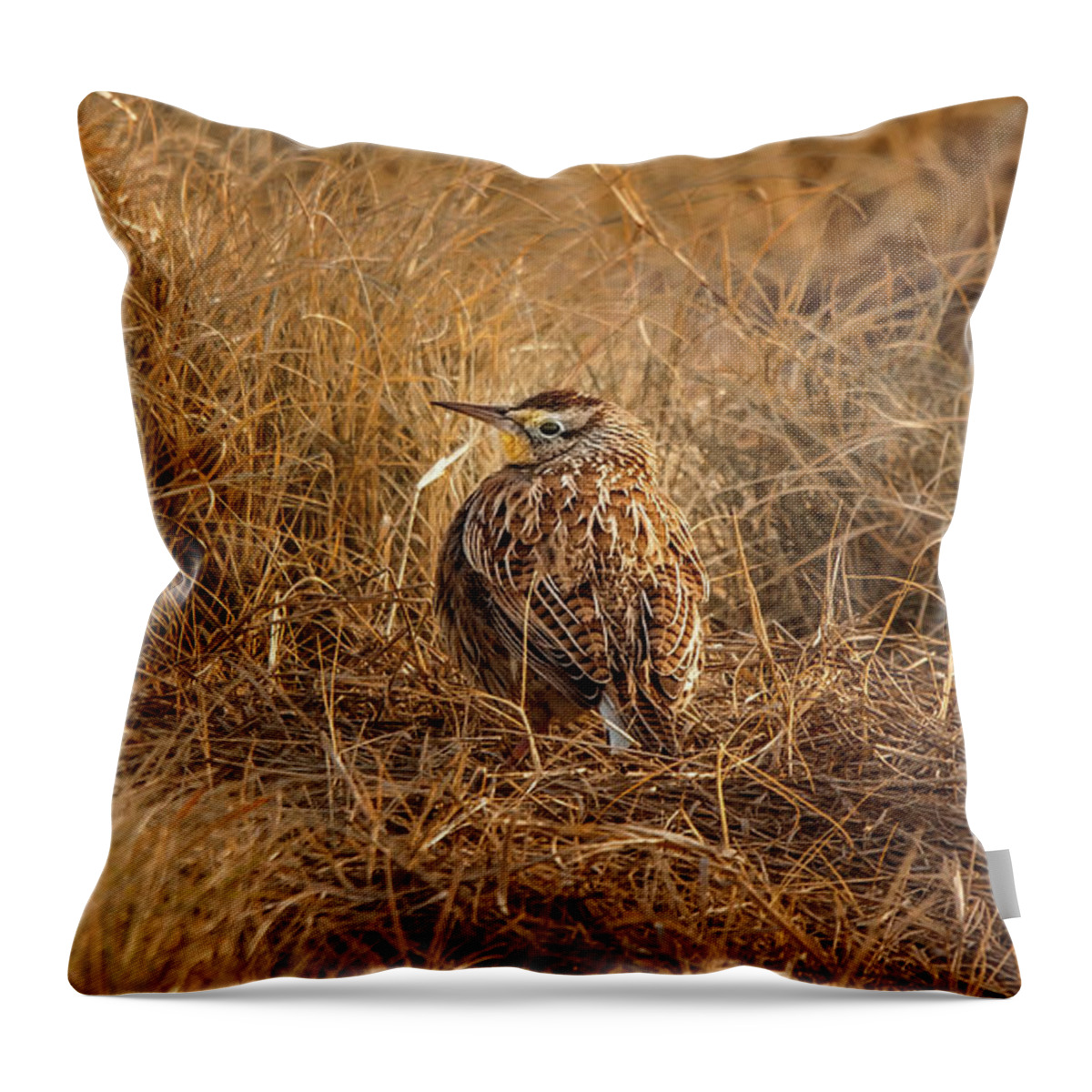 Animal Throw Pillow featuring the photograph Meadowlark Hiding In Grass by Robert Frederick