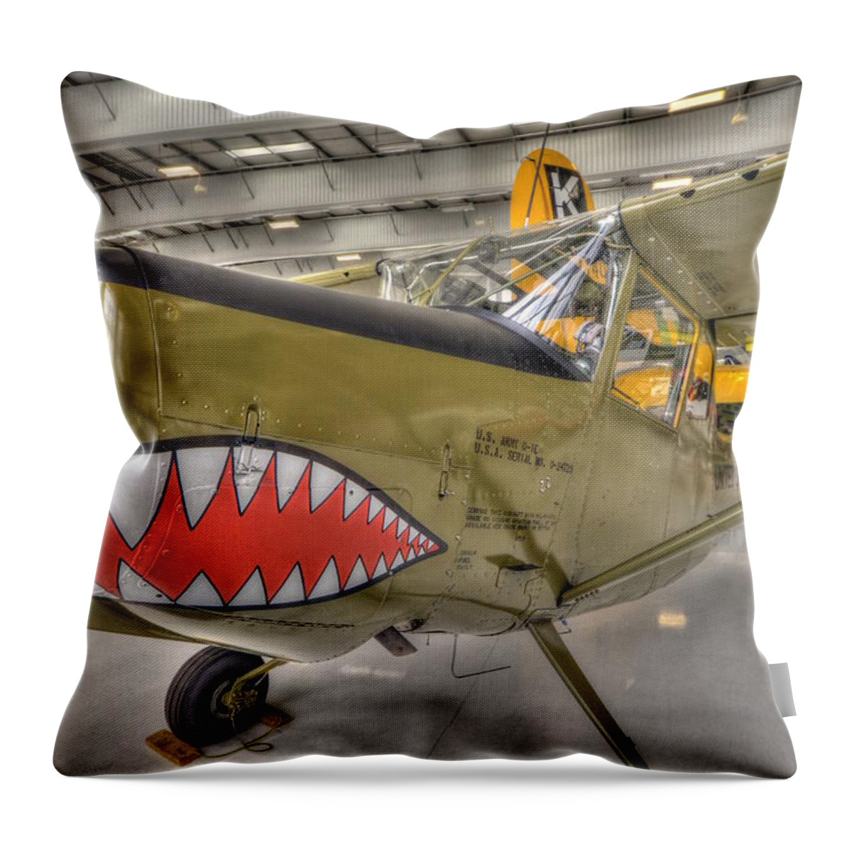 Plane Throw Pillow featuring the photograph Mean by Craig Incardone