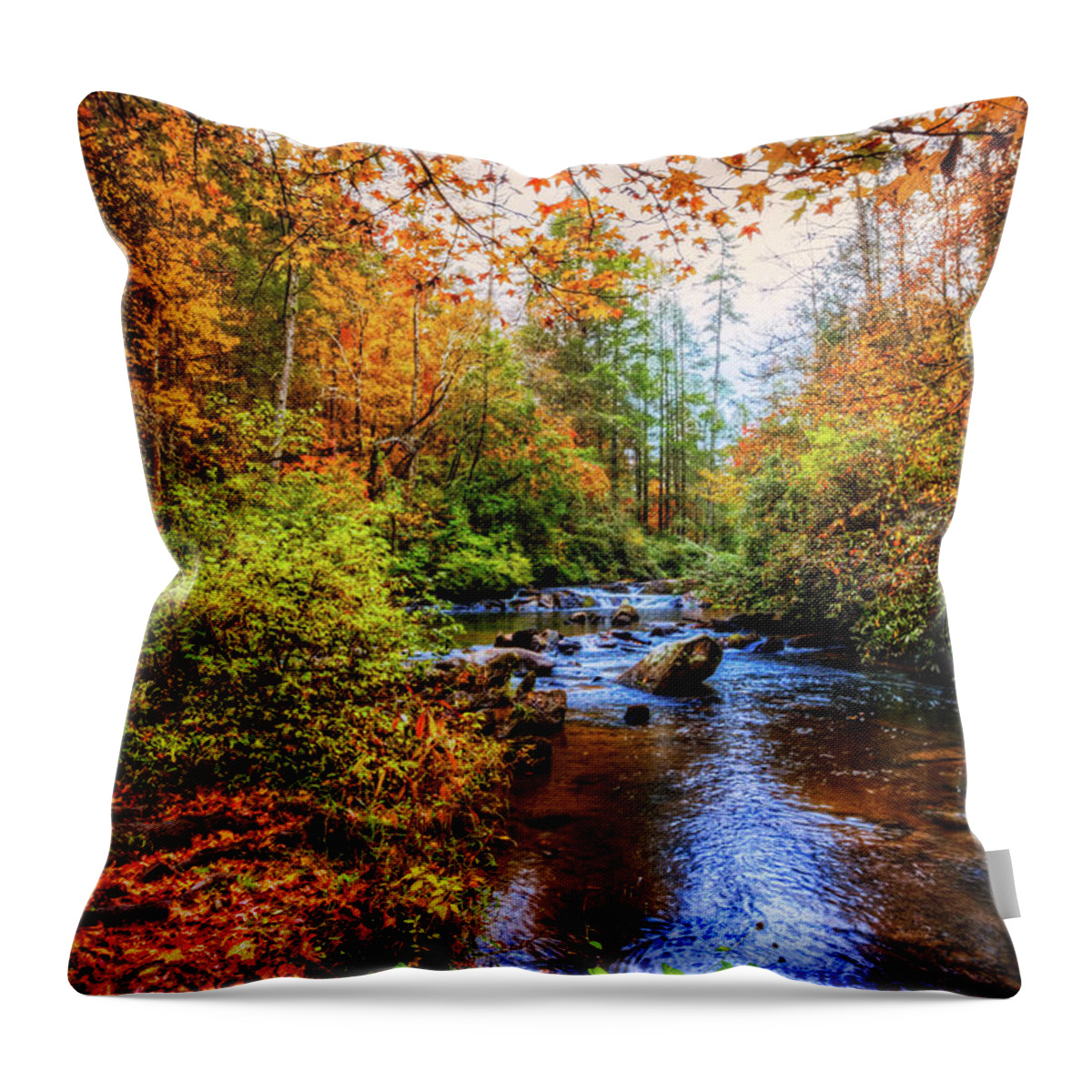 Apalachian Throw Pillow featuring the photograph Meandering in the Mountains by Debra and Dave Vanderlaan