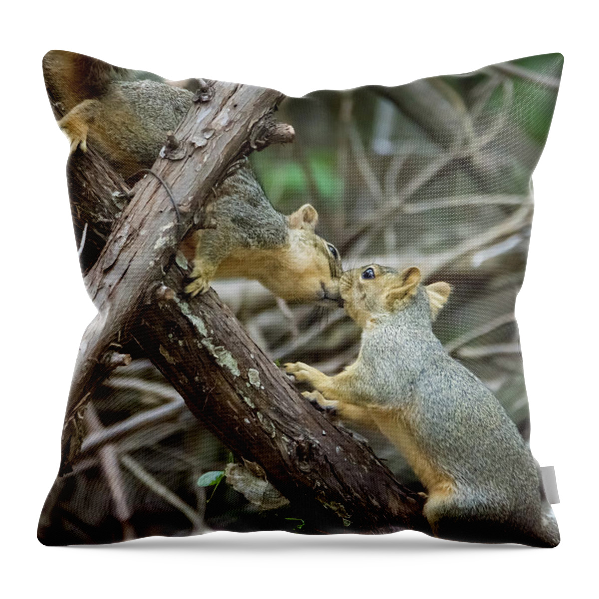 Squirrel Throw Pillow featuring the photograph Meet Me At the Fence Line by Debra Martz