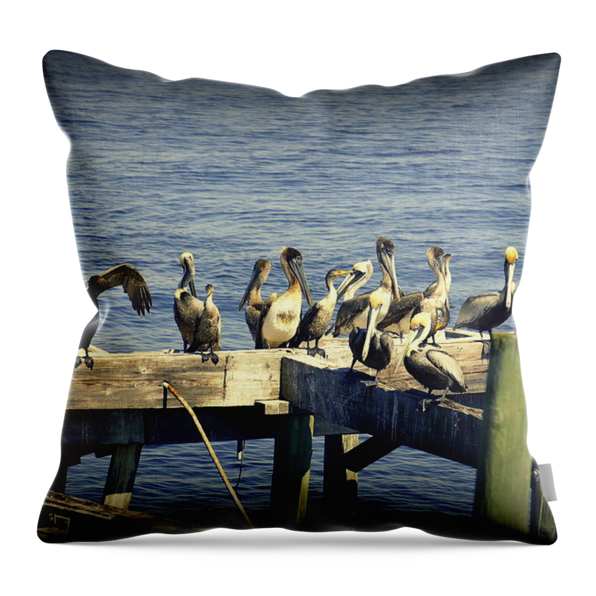 Pelicans Throw Pillow featuring the photograph Meeting of the Minds by Laurie Perry