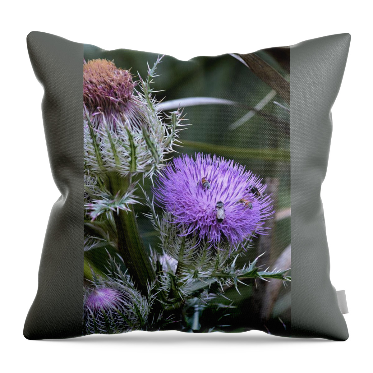 Meeting Place Throw Pillow featuring the photograph Meeting Place by Warren Thompson