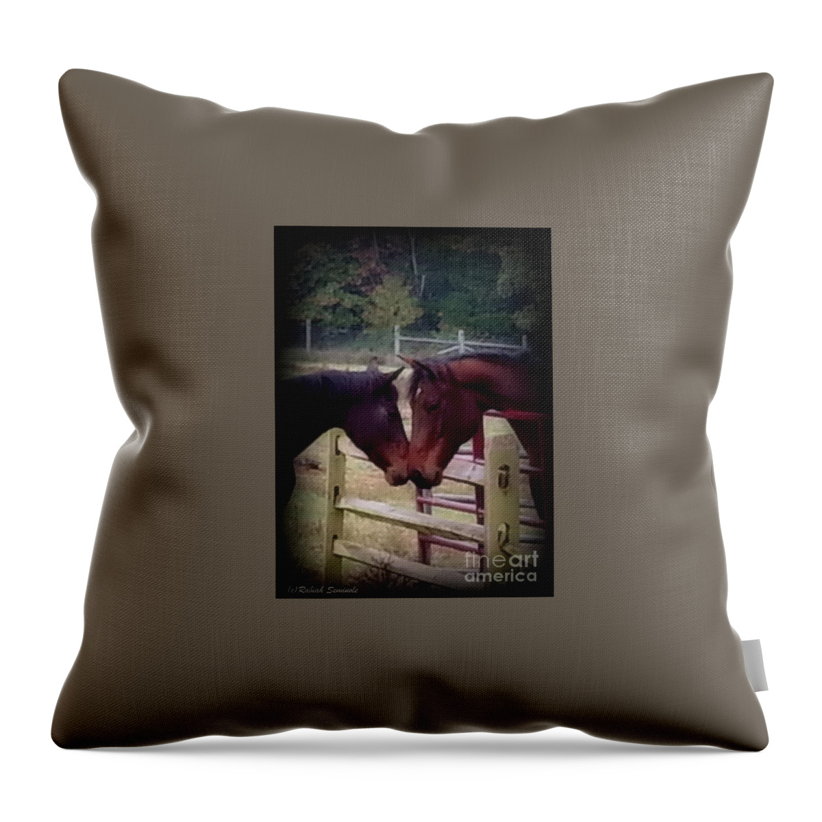 Horses Throw Pillow featuring the photograph Meeting by Rabiah Seminole