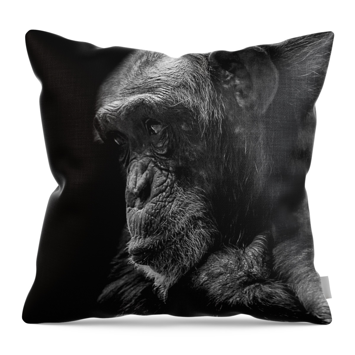 Chimpanzee Throw Pillow featuring the photograph Melancholy by Paul Neville