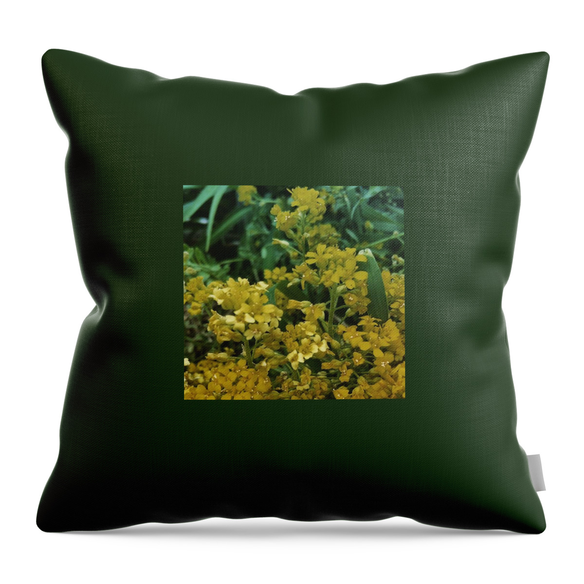 Yellow Flowers Throw Pillow featuring the photograph Mellow Yellow by Charley Upton