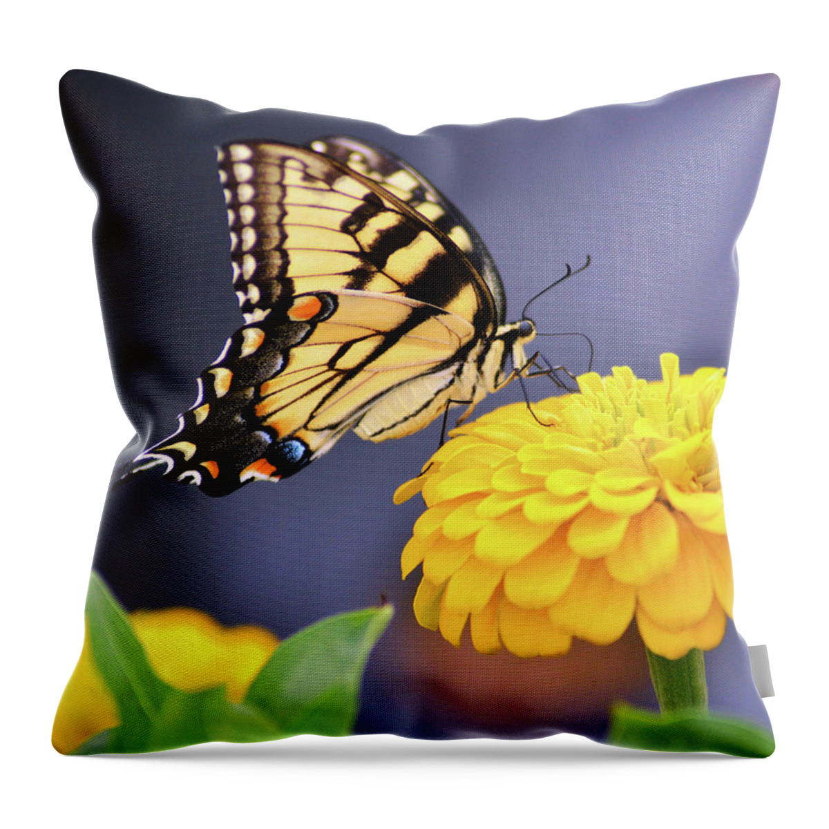 Kathy Kelly Throw Pillow featuring the photograph Mellow Yellow by Kathy Kelly