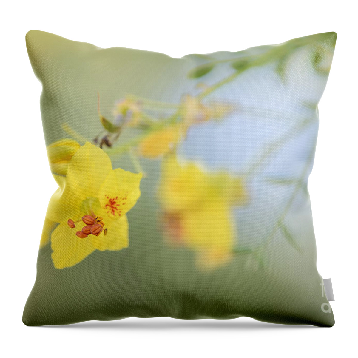 Palo Verde Throw Pillow featuring the photograph Mellow Yellow by Tamara Becker