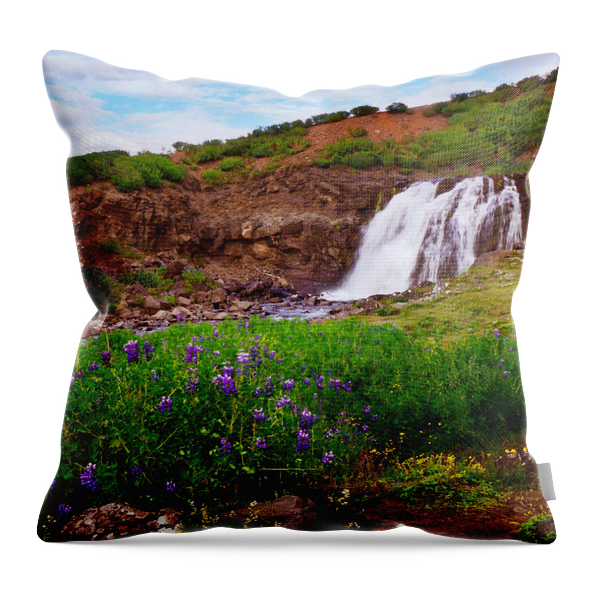 Iceland Throw Pillow featuring the photograph Melody of Summer by Amanda Jones
