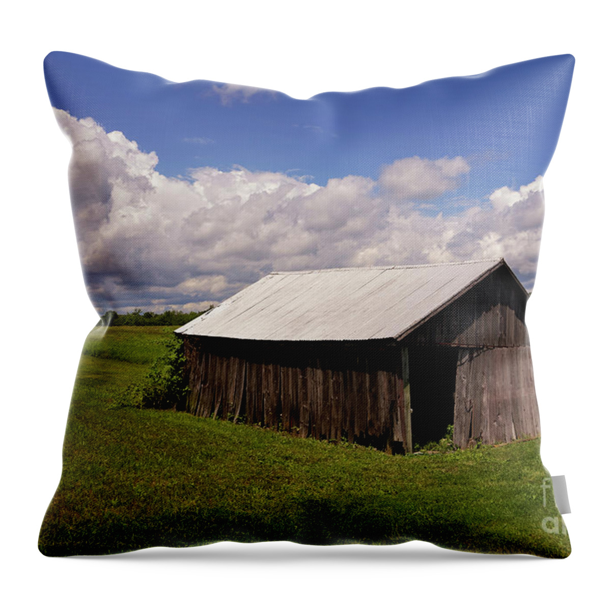 Memories Of July Throw Pillow featuring the photograph Memories of July by Rachel Cohen