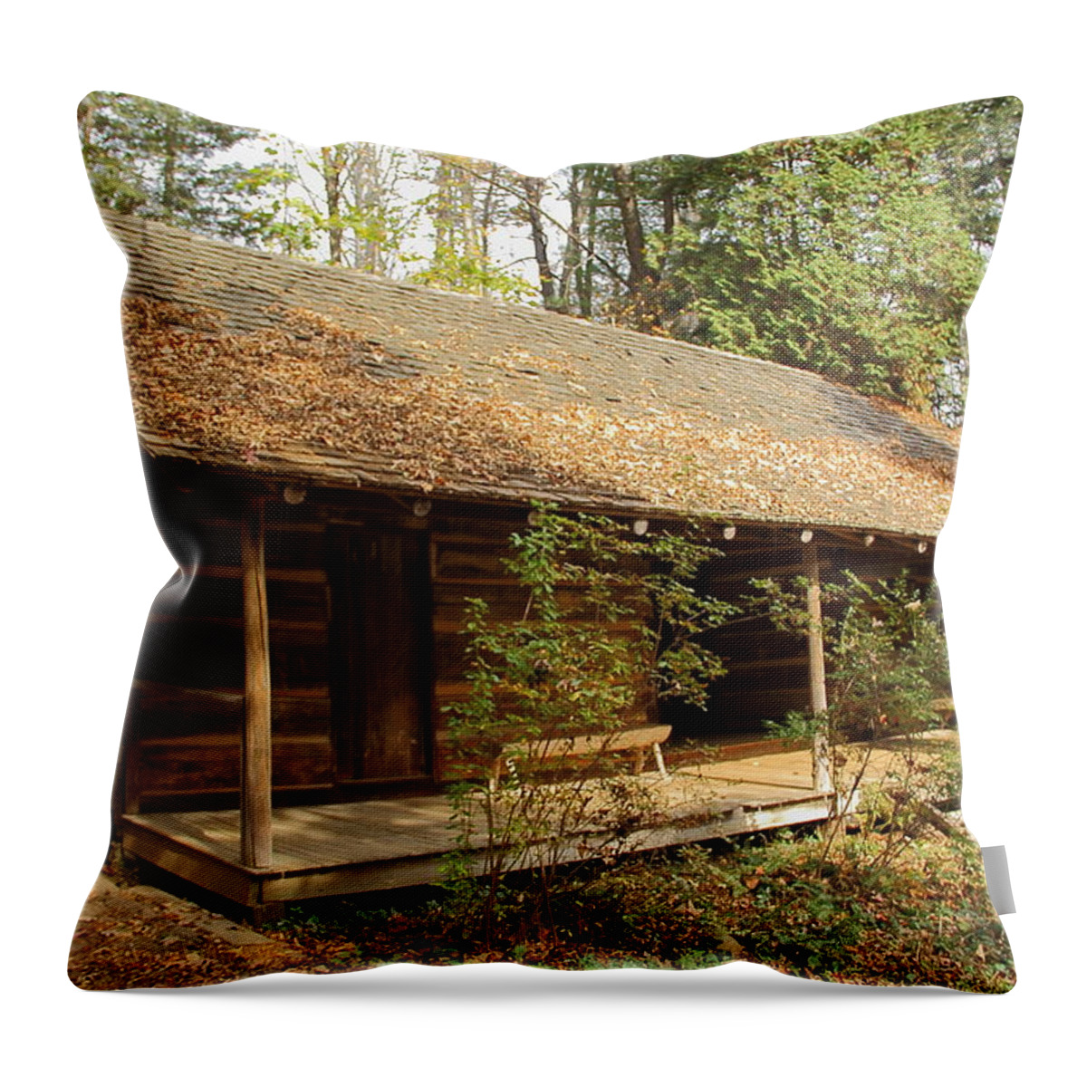 Cabin Throw Pillow featuring the photograph Memories of Long Ago by Allen Nice-Webb