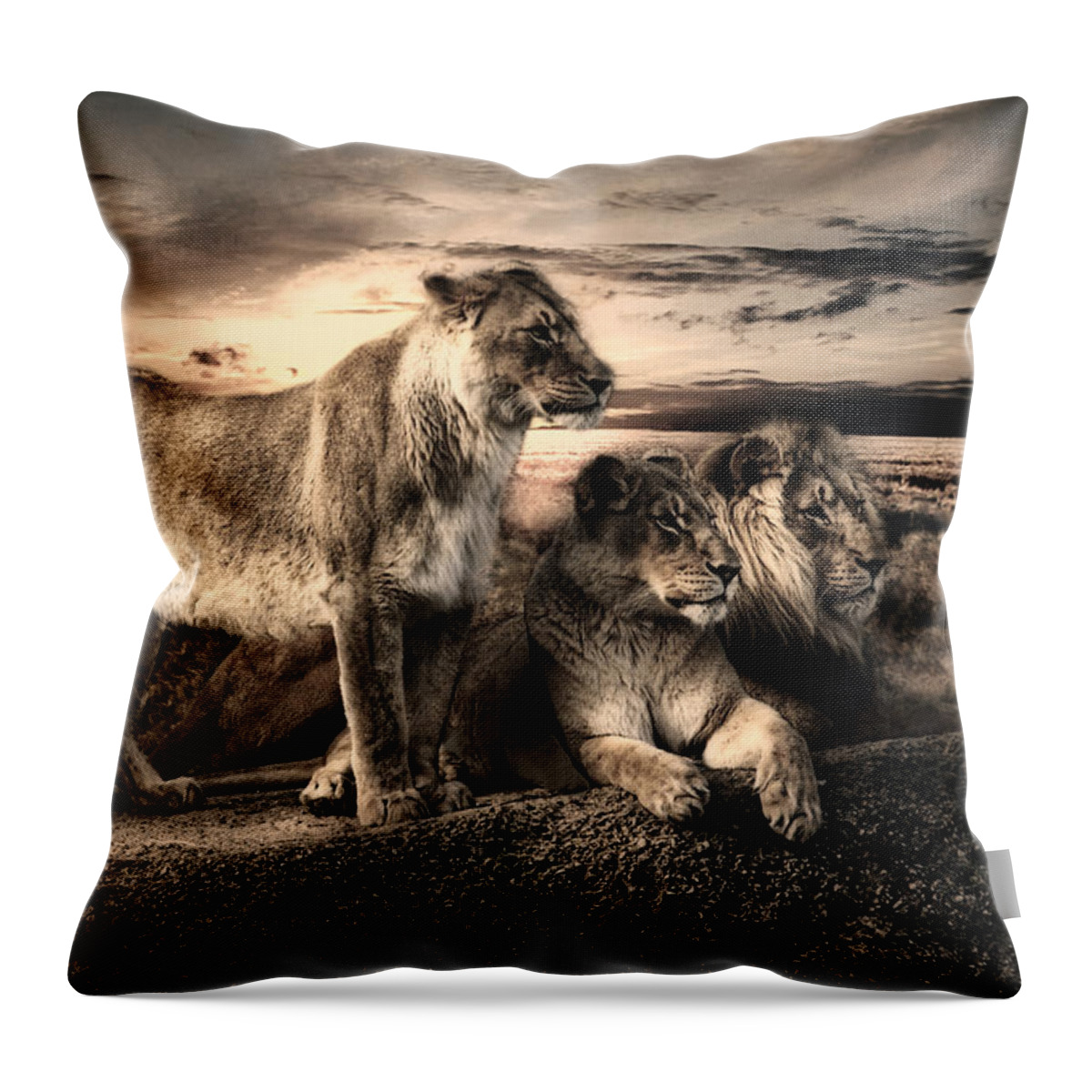 Wildlife Throw Pillow featuring the photograph Menage A Trois by Joachim G Pinkawa
