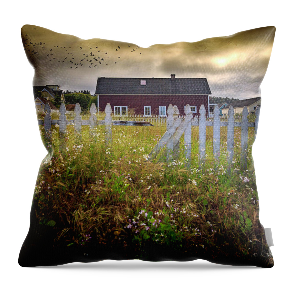 American Throw Pillow featuring the photograph Mendocino Red Barn by Craig J Satterlee