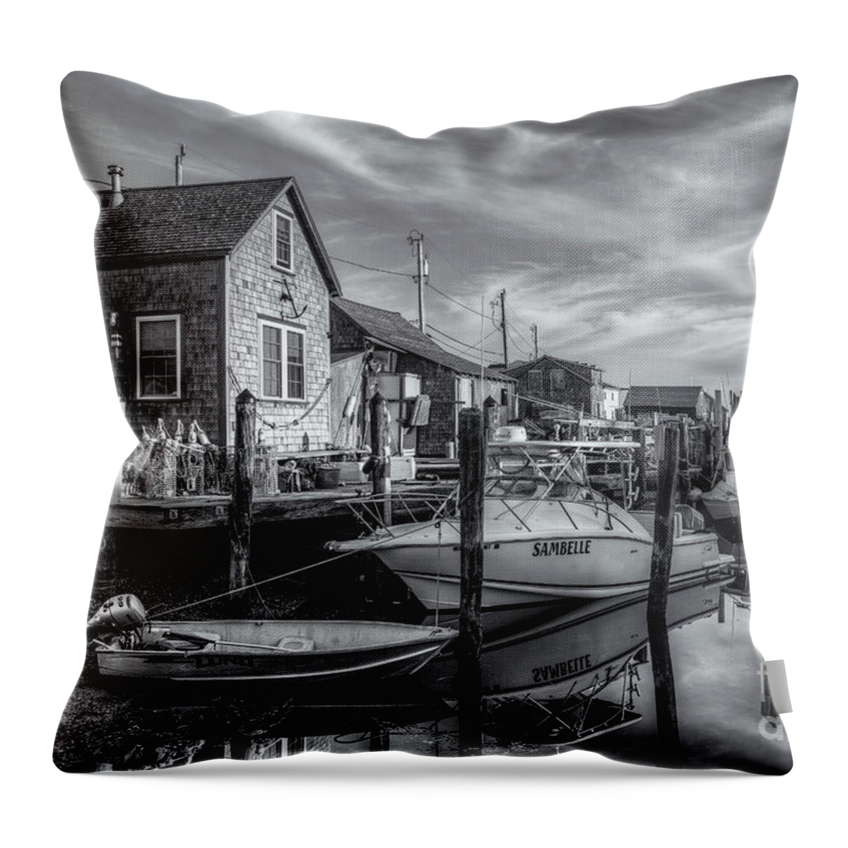 Clarence Holmes Throw Pillow featuring the photograph Menemsha Basin Early Light II by Clarence Holmes