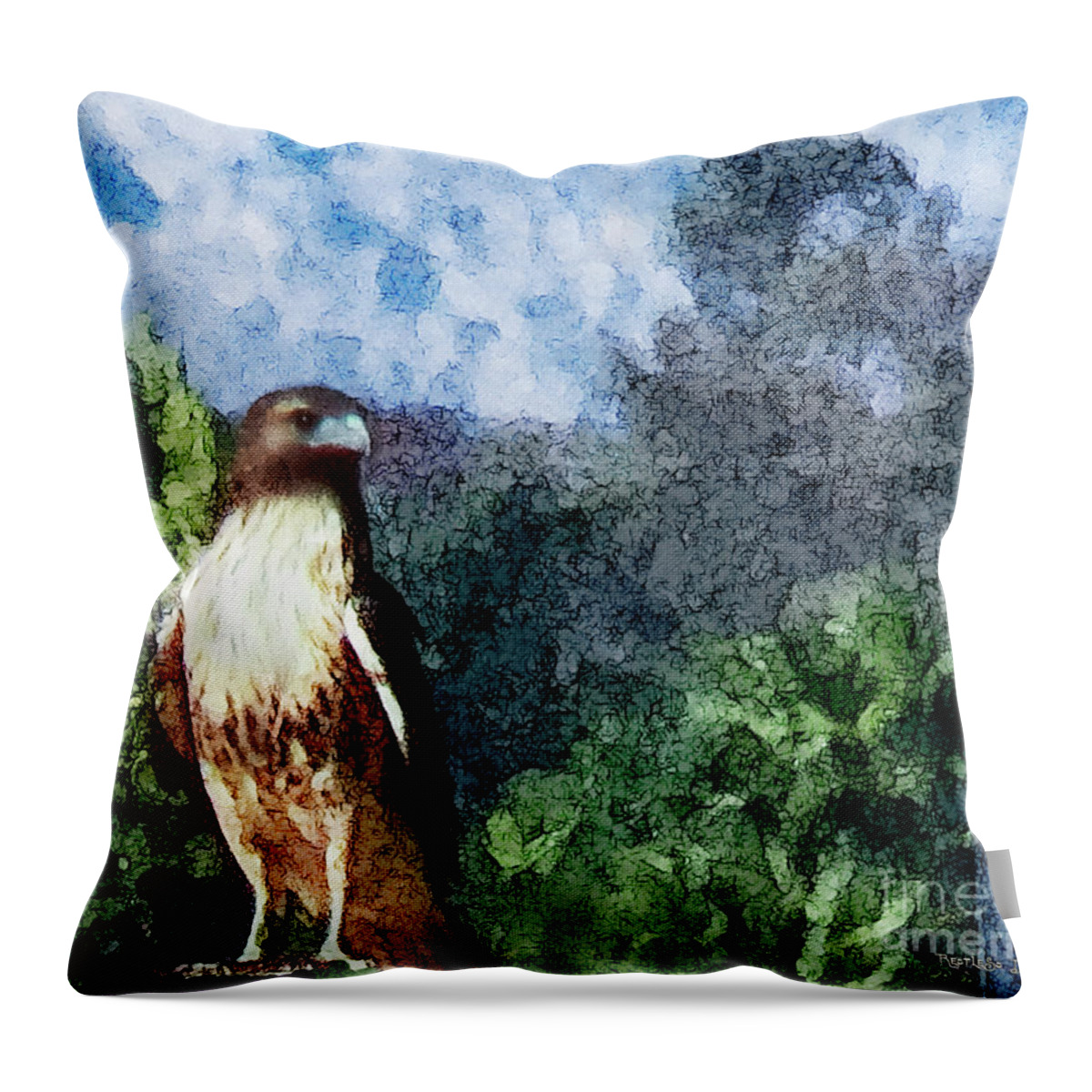 Falcon Throw Pillow featuring the photograph Menifee Falcon by Rhonda Strickland