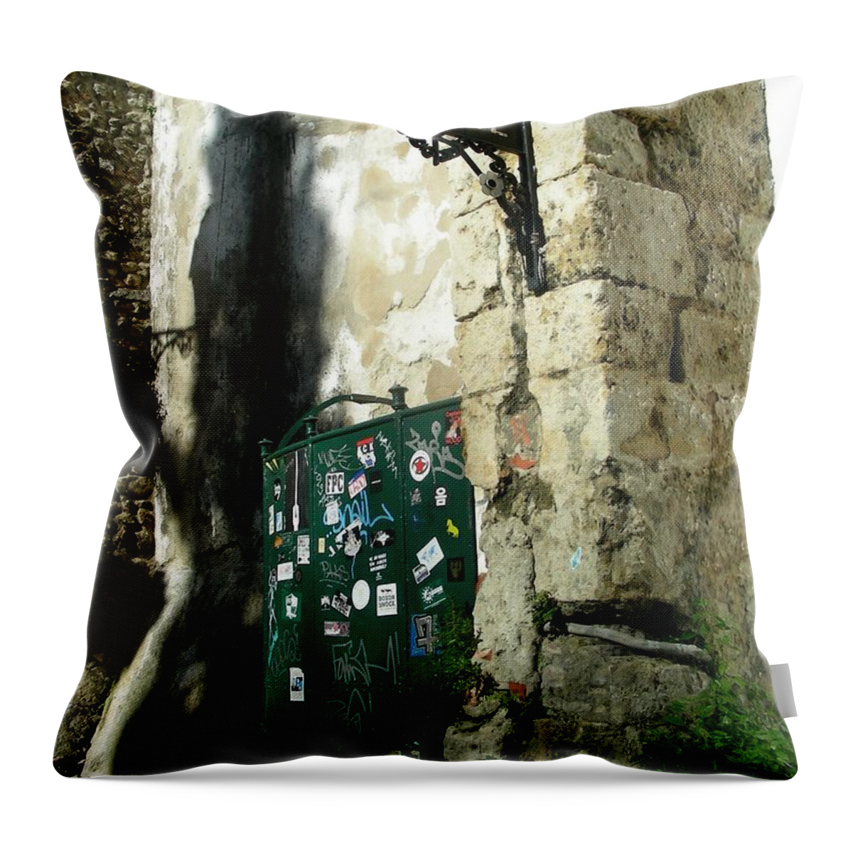 Men's Room Throw Pillow featuring the photograph Men's Room by Jean Wolfrum