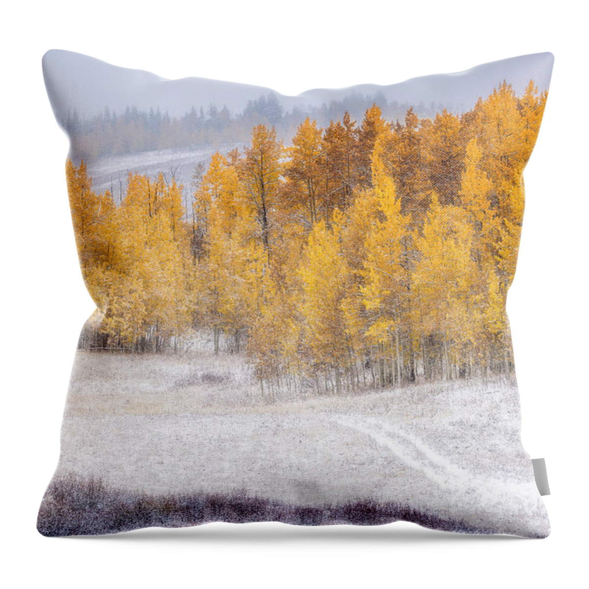 Colorado Throw Pillow featuring the photograph Merging Seasons by Kristal Kraft