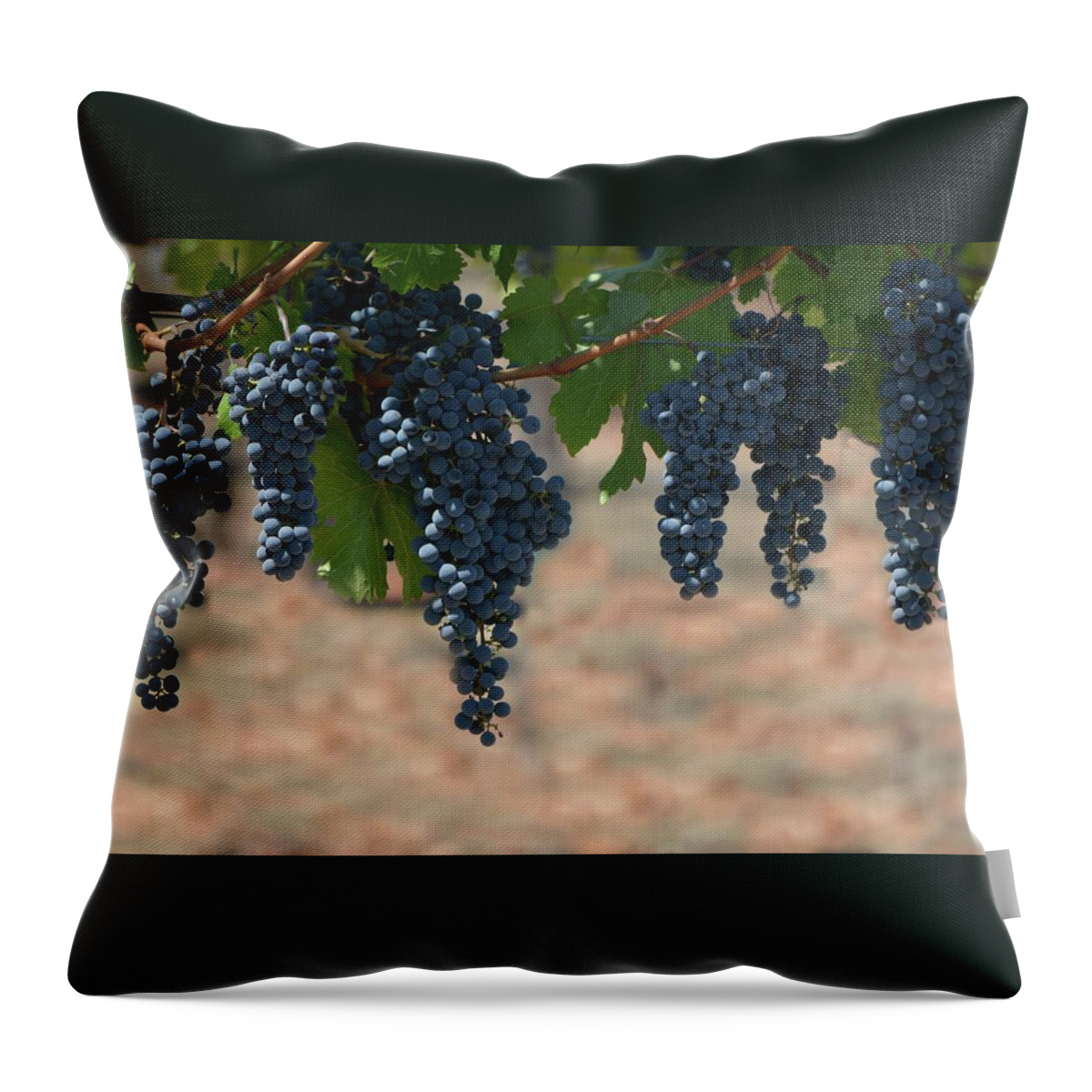 Grapes Throw Pillow featuring the photograph Merlot by Carolyn Mickulas