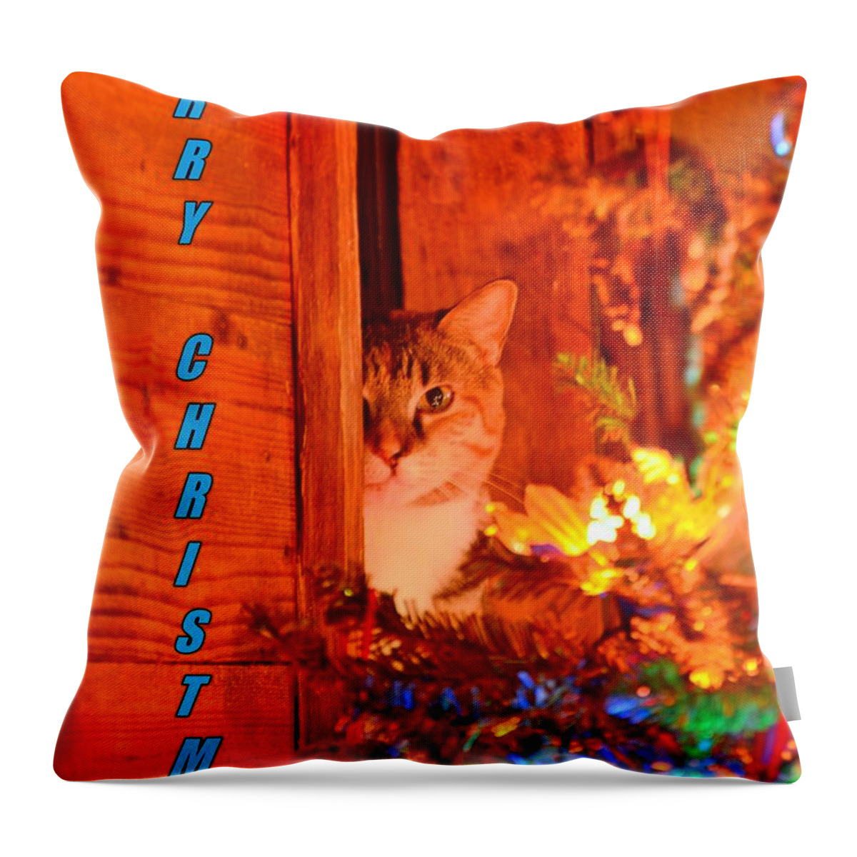 Merry Christmas Waiting For Santa Throw Pillow featuring the photograph Merry Christmas Waiting For Santa by Lisa Wooten