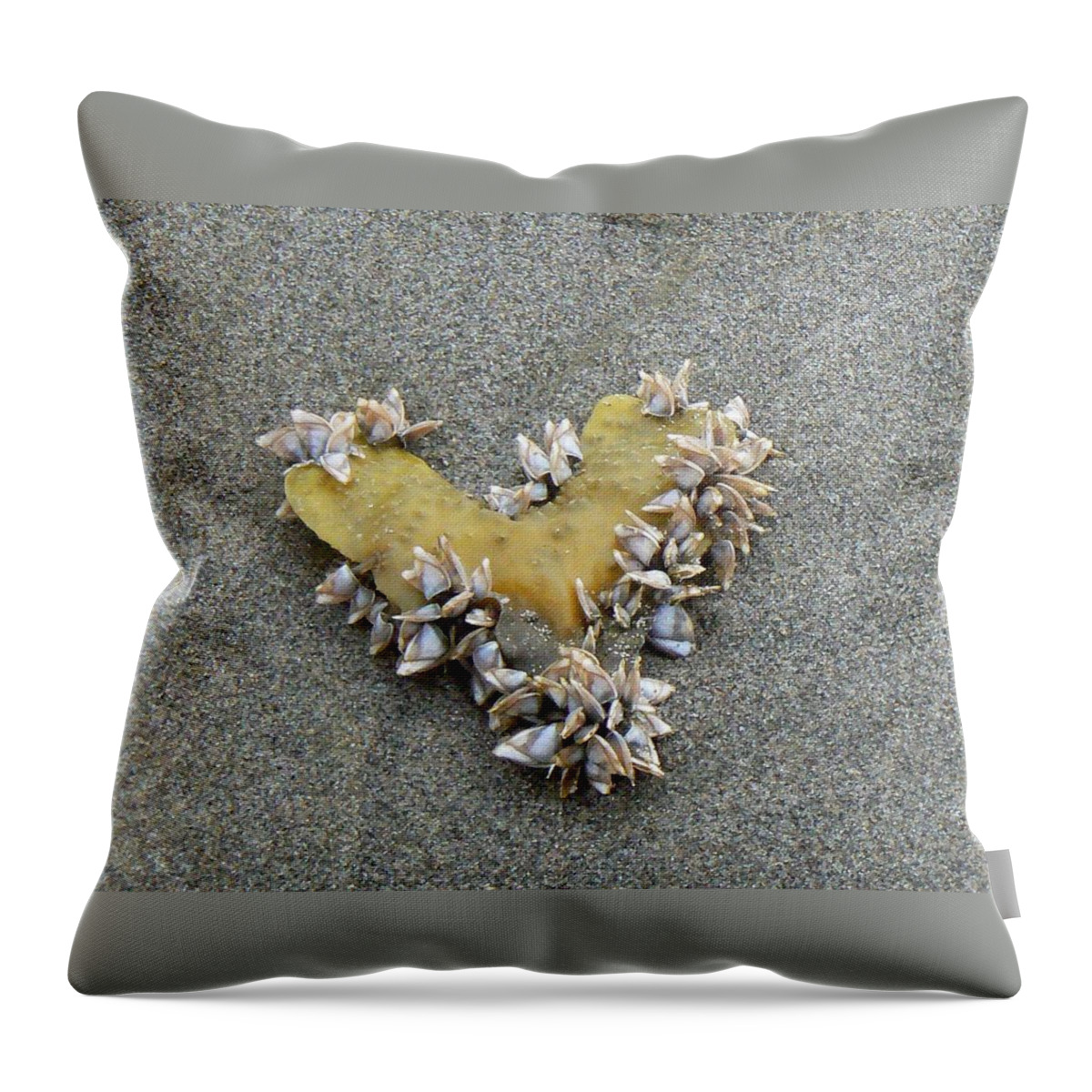Sea Shells Throw Pillow featuring the photograph Message from Atlantis by Pamela Patch