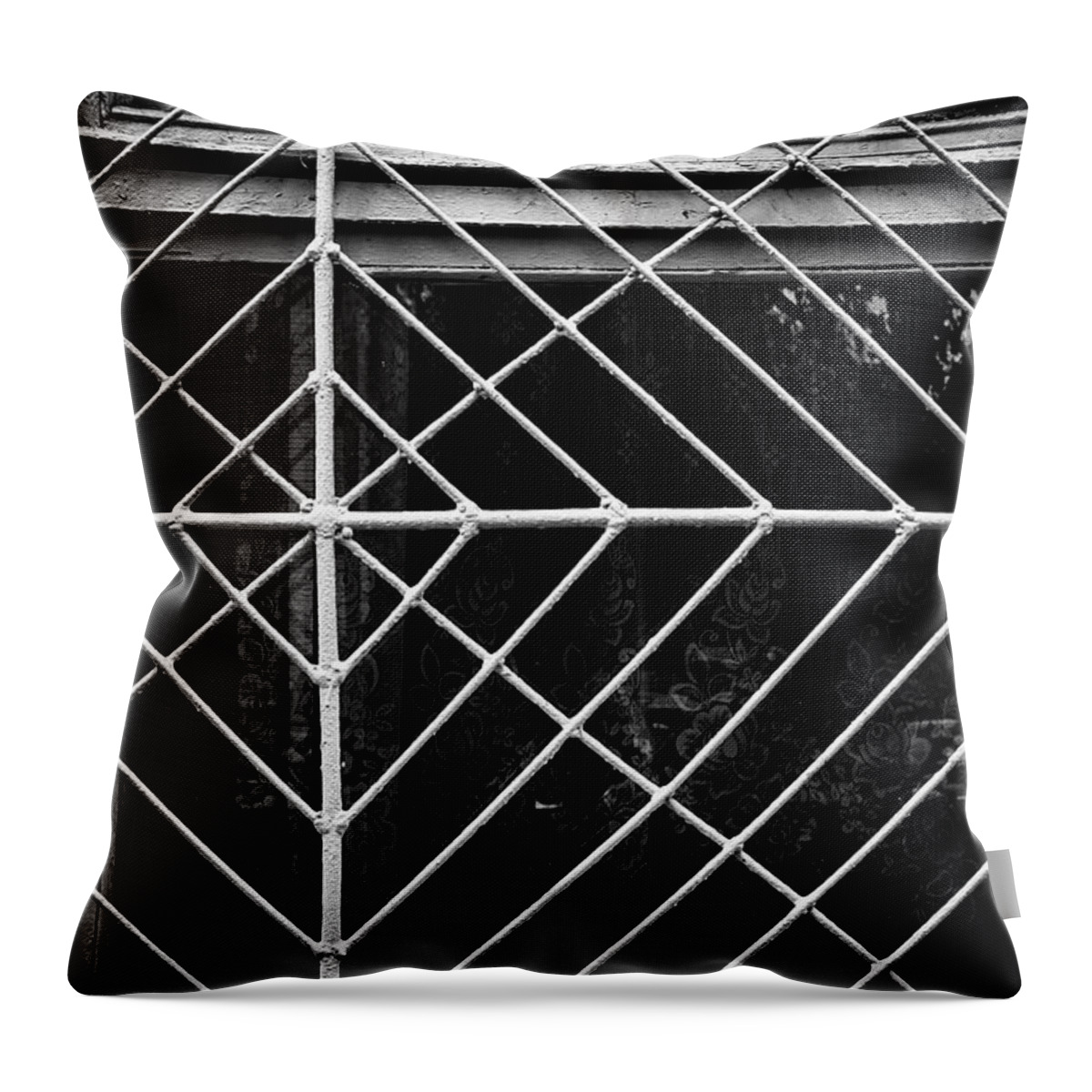 Wall Art Throw Pillow featuring the photograph Metal Spider Web Windowframe in Monochrome by John Williams