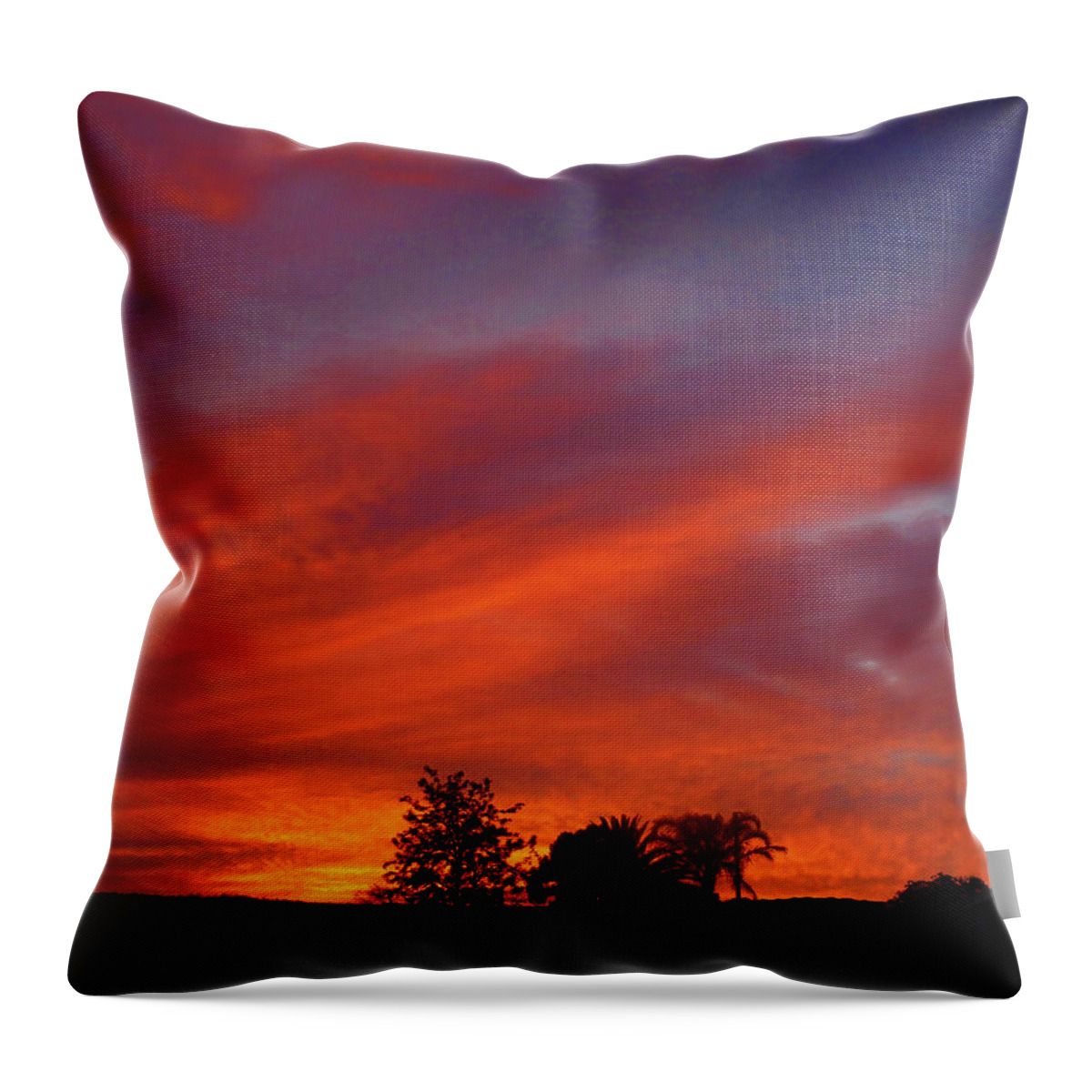 Sunrise Throw Pillow featuring the photograph Metallic Sunrise by Mark Blauhoefer