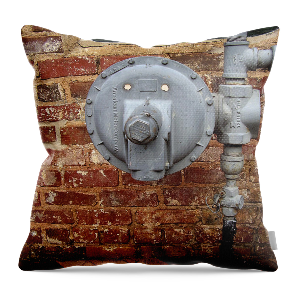 Meter Throw Pillow featuring the photograph Meter in Athens GA by Flavia Westerwelle