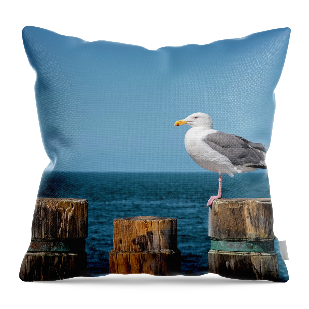 Mew Throw Pillow featuring the photograph Mew by Steven Michael