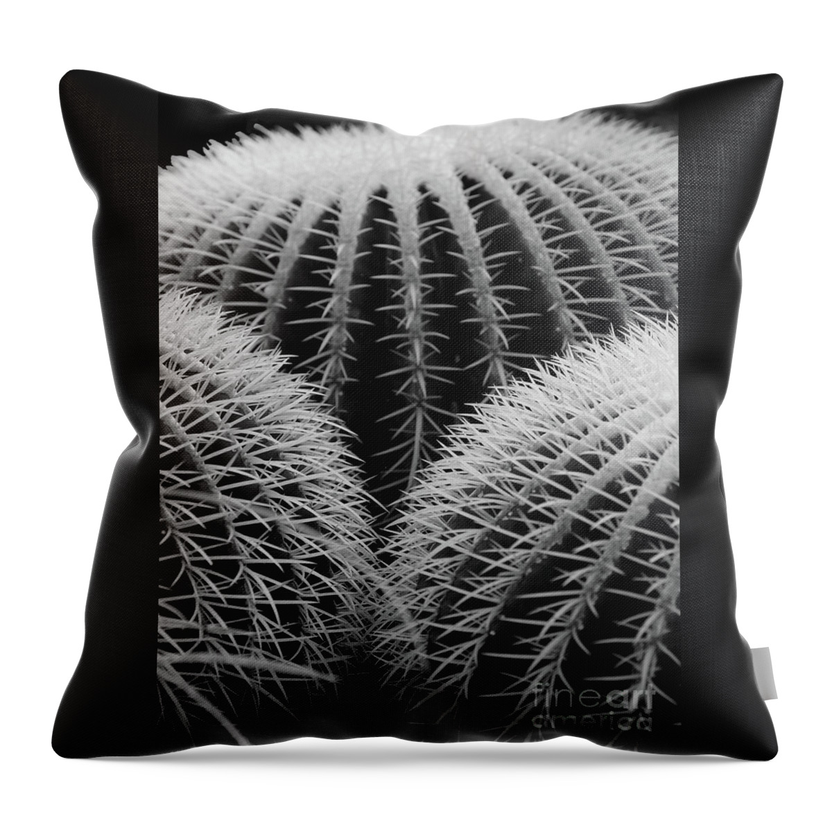 Prott Throw Pillow featuring the photograph Mexican Cacti by Rudi Prott