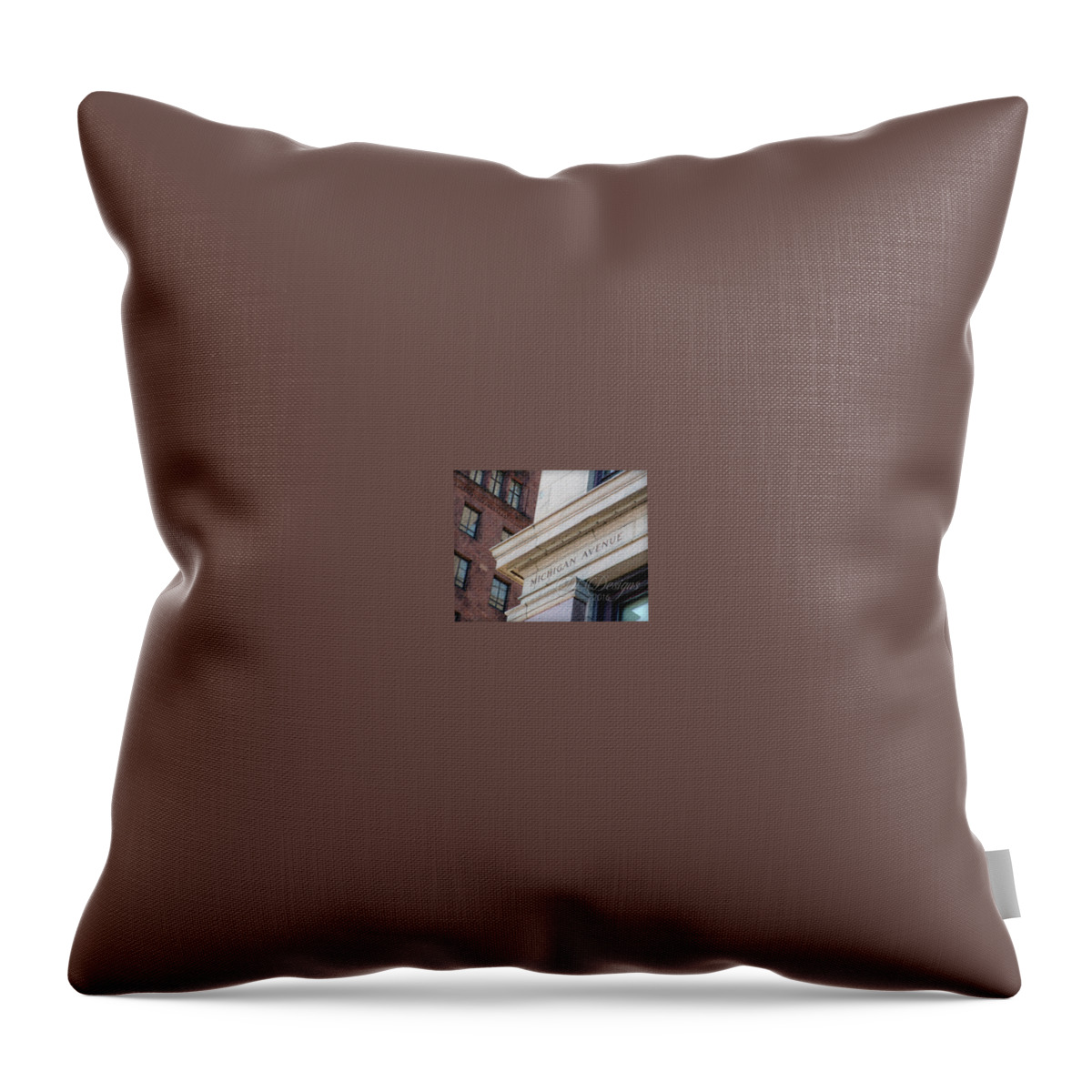 Chicago Throw Pillow featuring the photograph Michigan Avenue Chicago by DiDesigns Graphics