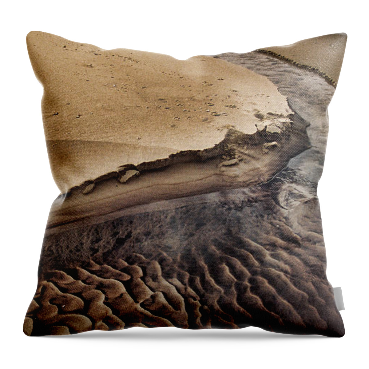 Beach Throw Pillow featuring the photograph Michigan Beachscape by Ron Weathers