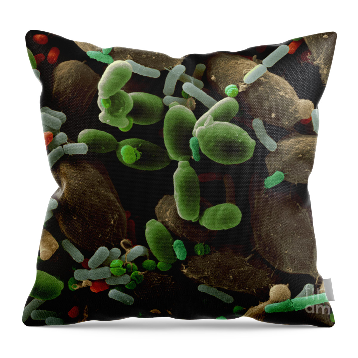 Microorganism Throw Pillow featuring the photograph Microorganisms On Cabbage by Scimat