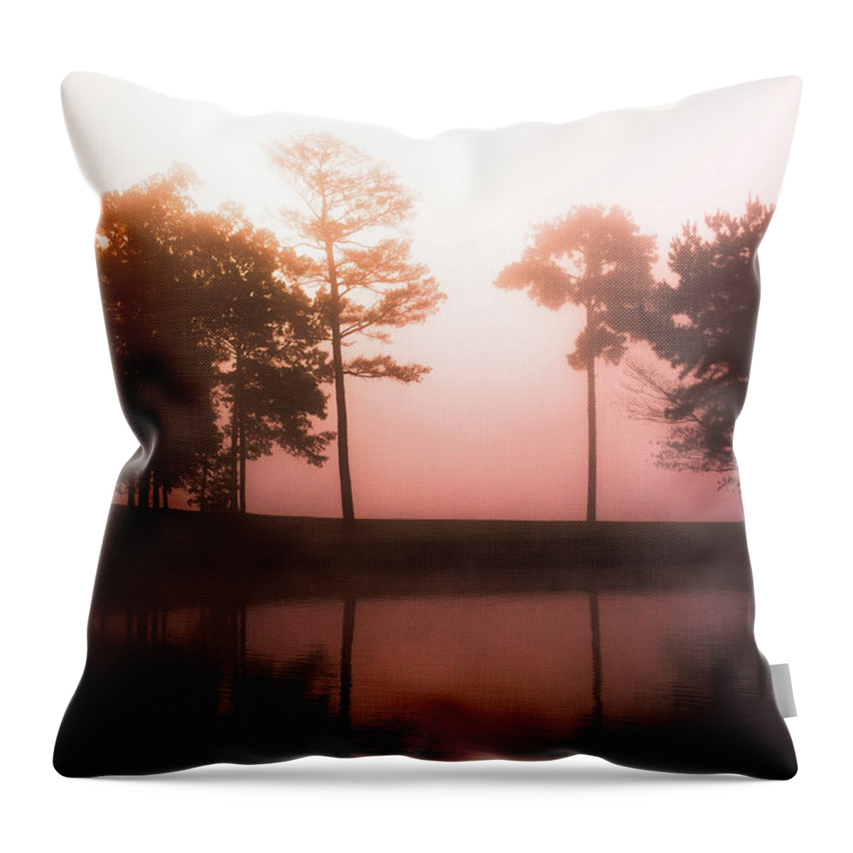  Throw Pillow featuring the photograph Mid-Morning Hues by Parker Cunningham