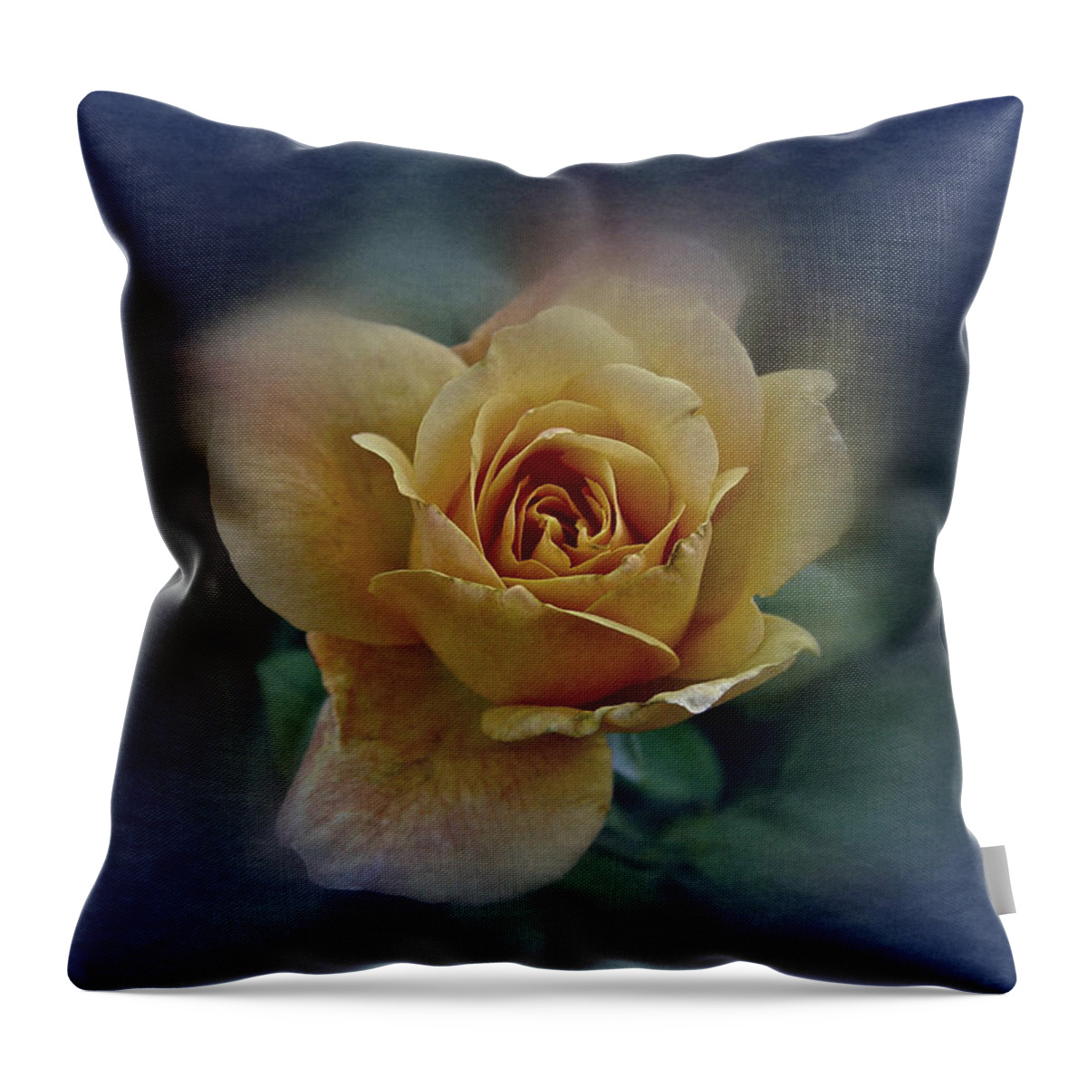 Rose Throw Pillow featuring the photograph Mid September Rose by Richard Cummings