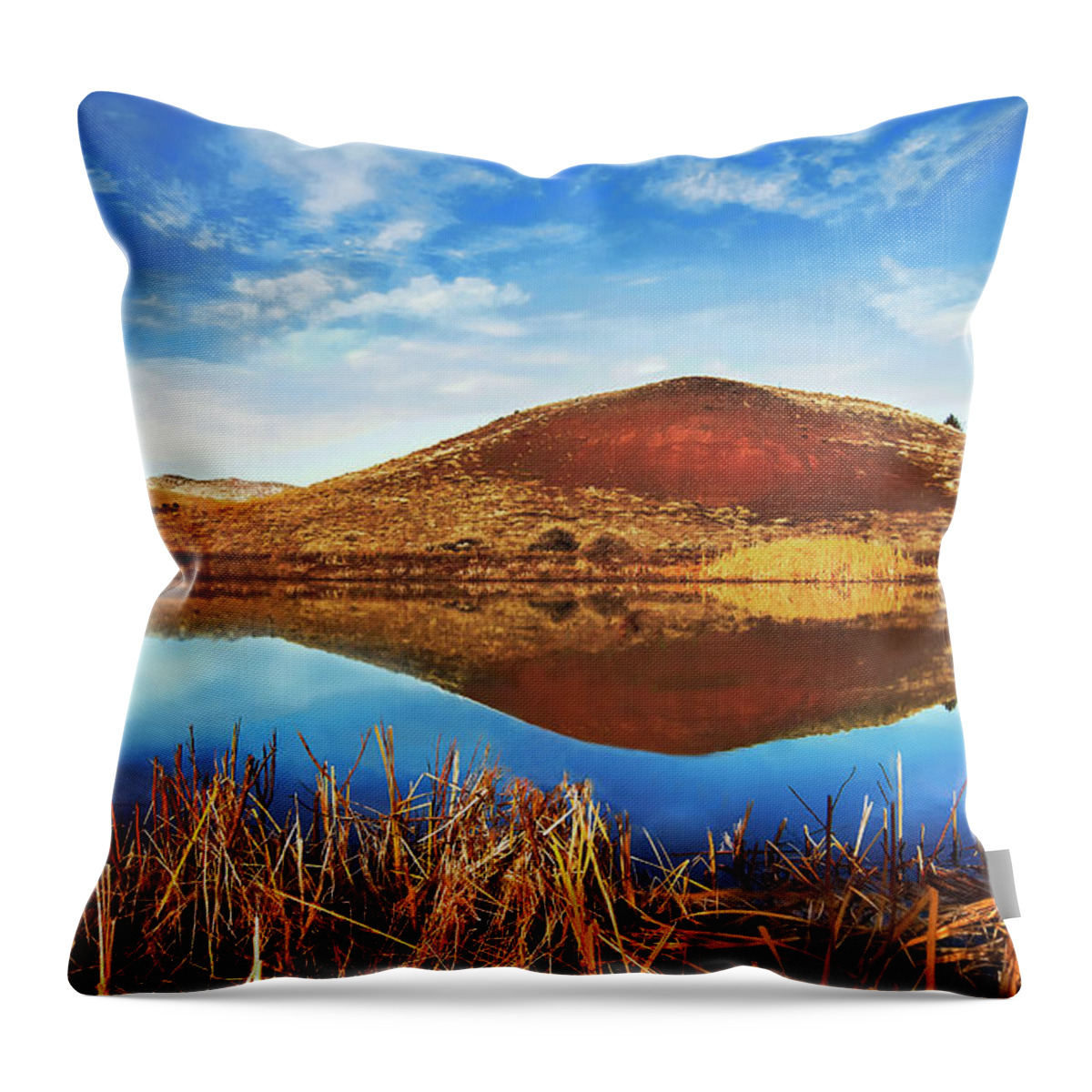 Painted Hills Throw Pillow featuring the photograph Mid-Winter Gold by John Christopher