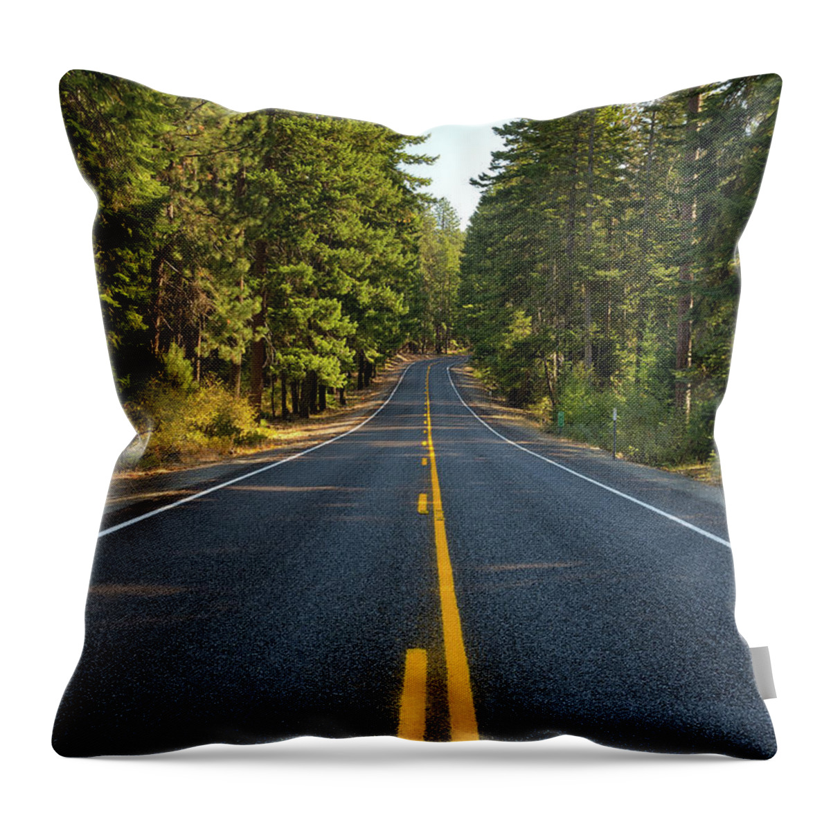 Mount Throw Pillow featuring the photograph Middle of the Highway in Oregon by David Gn