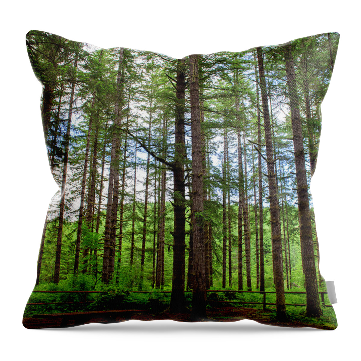 Capital Forest Throw Pillow featuring the photograph Middle Waddle Campground by Tikvah's Hope
