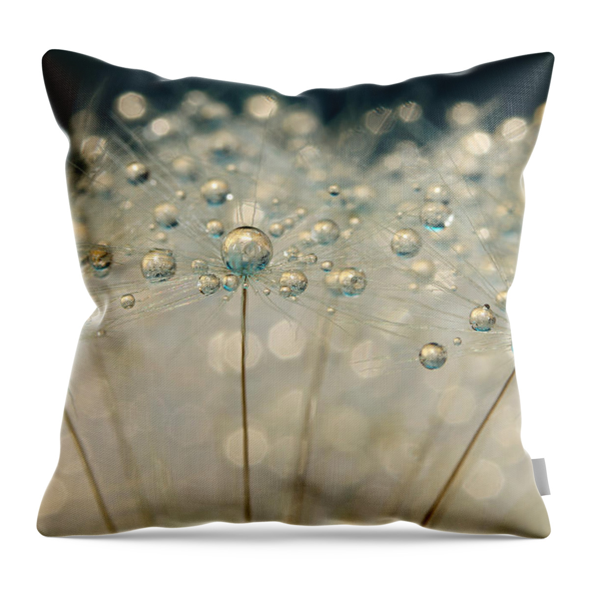 Dandelion Throw Pillow featuring the photograph Midnight Blue Dandy Sparkle by Sharon Johnstone
