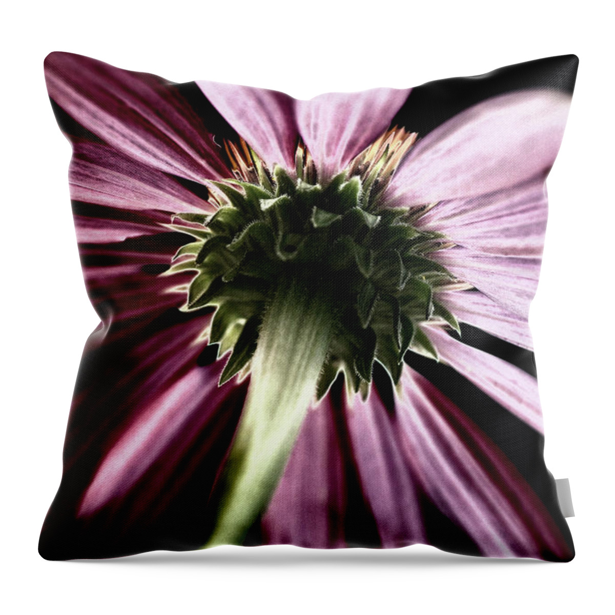Flower Throw Pillow featuring the photograph Midnight Brilliance by Andrea Platt