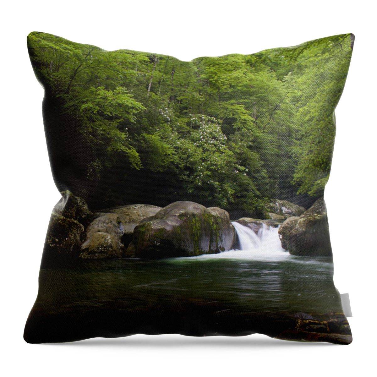 Art Prints Throw Pillow featuring the photograph Midnight Hole by Nunweiler Photography
