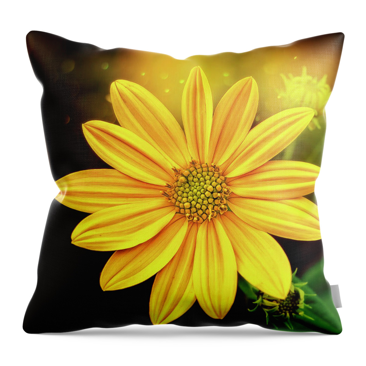 Floral Throw Pillow featuring the photograph Midnight In A Garden Of Yellow by Bill and Linda Tiepelman