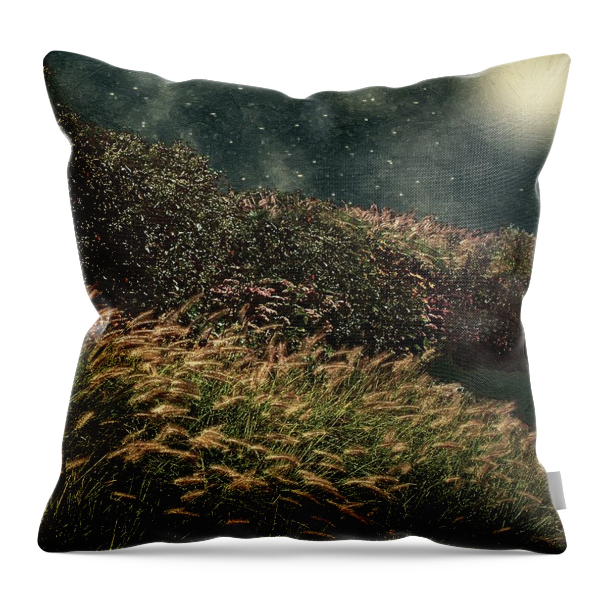Landscape Throw Pillow featuring the painting Midnight Marsh by RC DeWinter